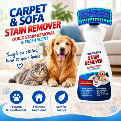 Carpet and Sofa Stain Remover