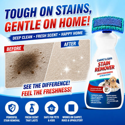 Carpet and Sofa Stain Remover