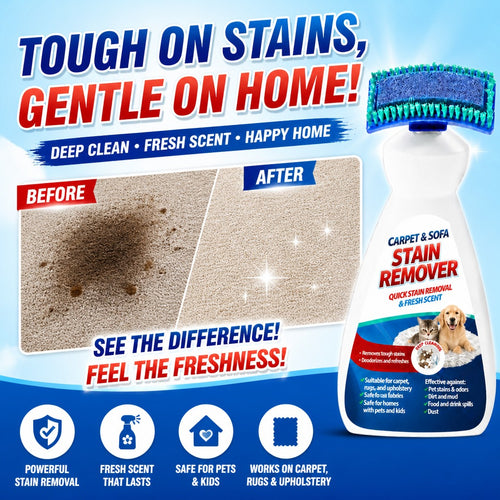 Carpet and Sofa Stain Remover
