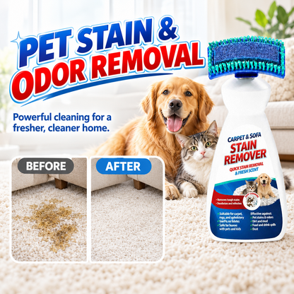 Carpet and Sofa Stain Remover