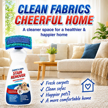 Carpet and Sofa Stain Remover