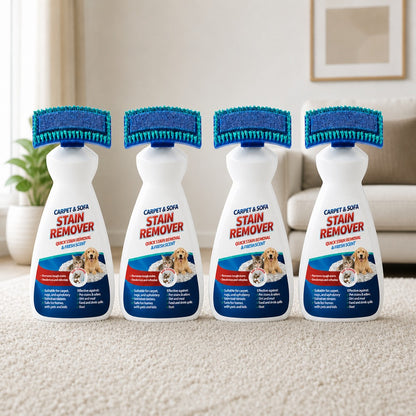 Carpet and Sofa Stain Remover