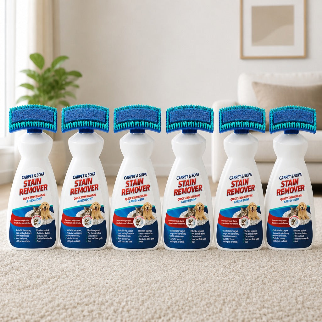 6 BOTTLES